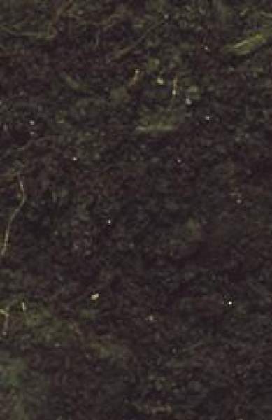 BIO-GROUND